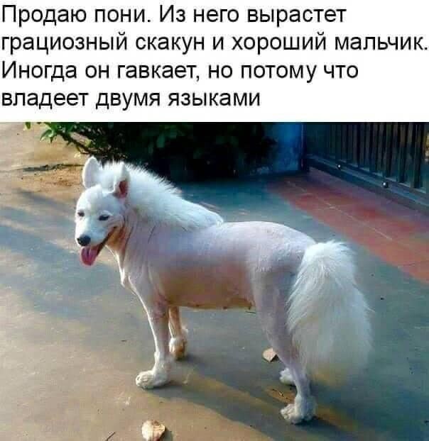 Картинки с надписями и всякие жизненные фразы 5.06.21