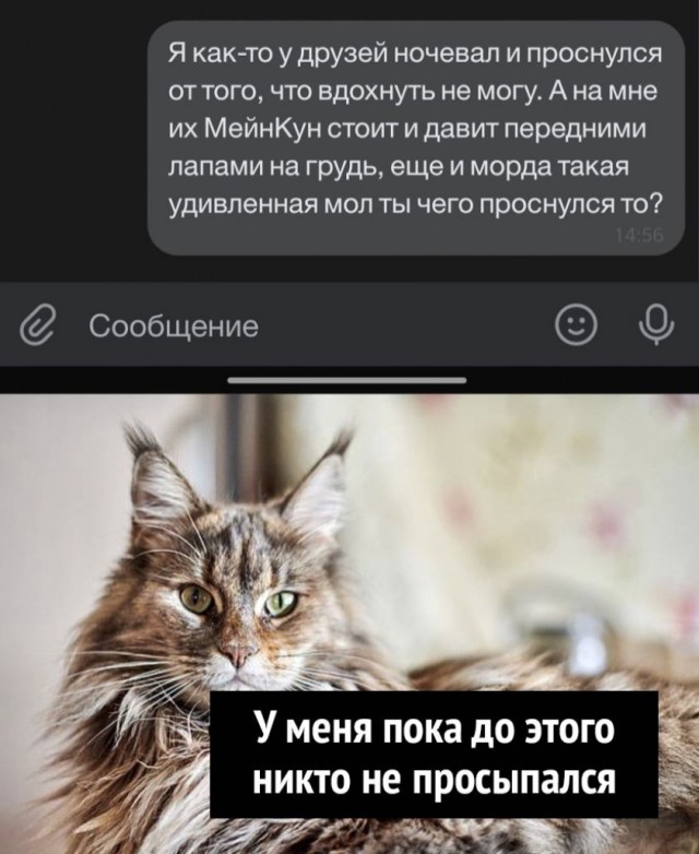 Всякое-разное (картинки) 02.07.2021