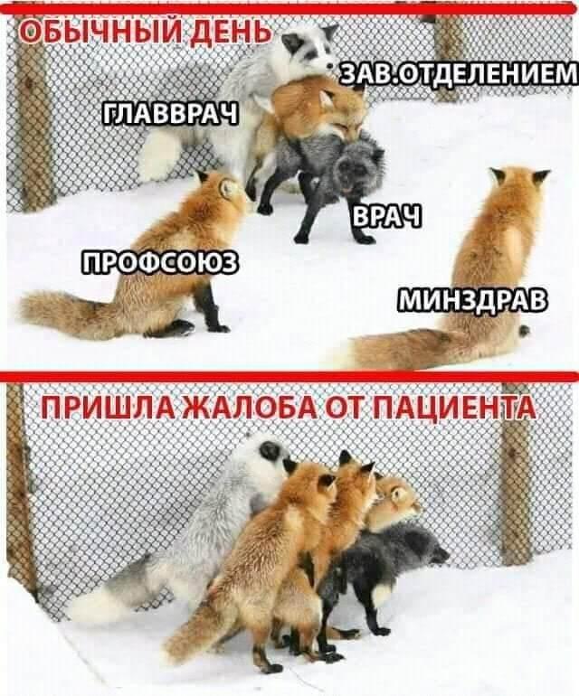 Ночные кретинизмы из сети 25.08.2021
