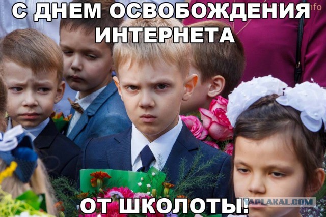 Дорога на Лофотены
