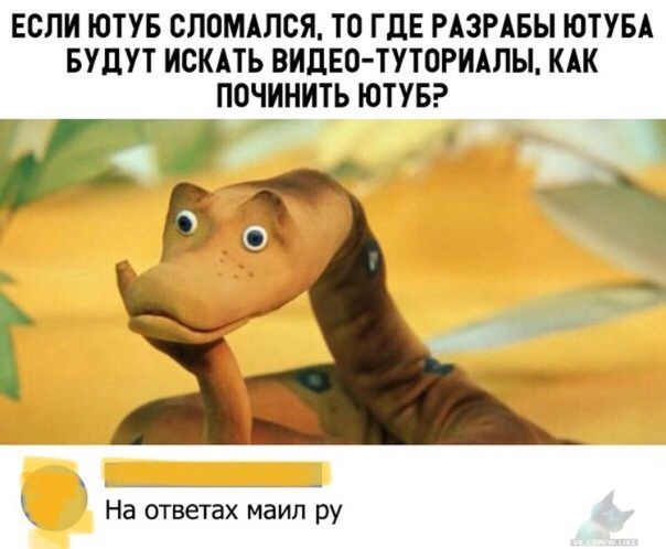 Австралийская морская змея подплыла поздороваться