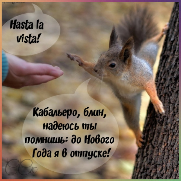 Весёлый полтишок 02.11