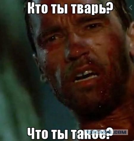 "Почему мужчины избегают меня" или вопрос дамы к знакомому