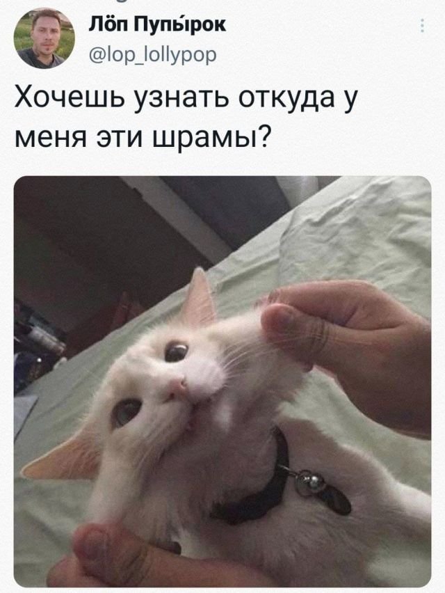 Баянисто-небаянистый юмор 2.02.22