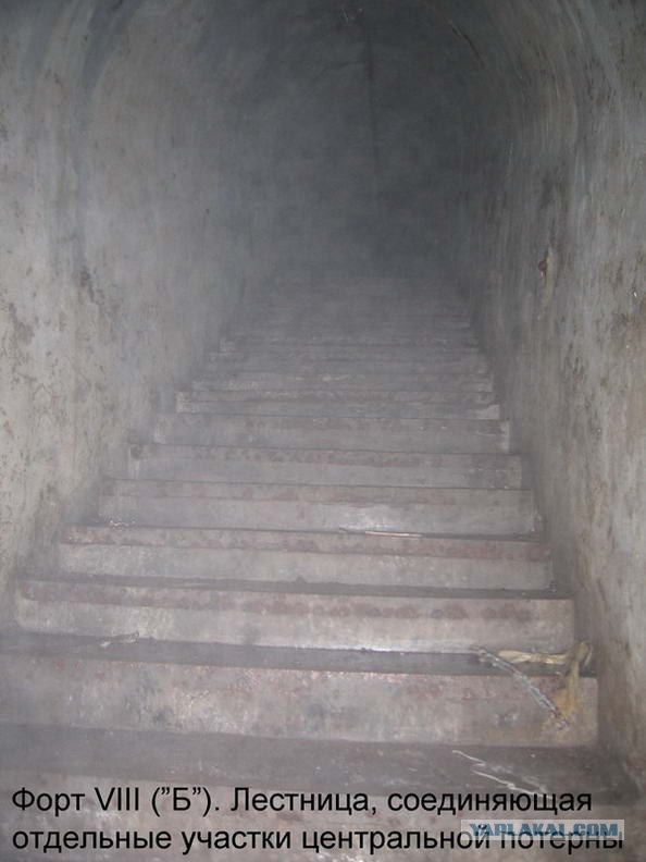 Форты Бреста