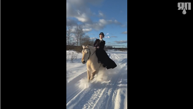 Про дамское седло