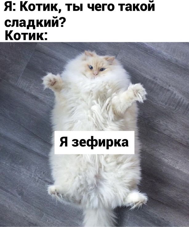 Баянисто-небаянистый юмор 9.03.22