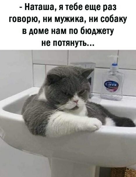 40 картинок разных 18.03.2022