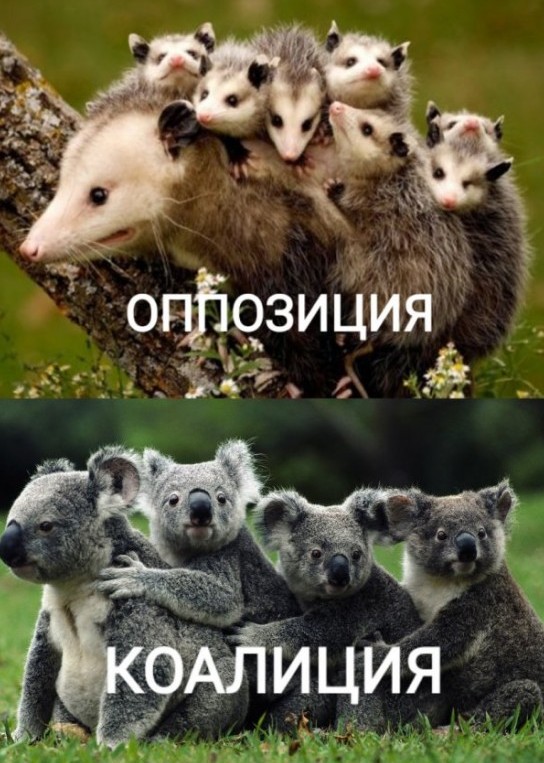 Картинки разные нужны, картинки всякие важны