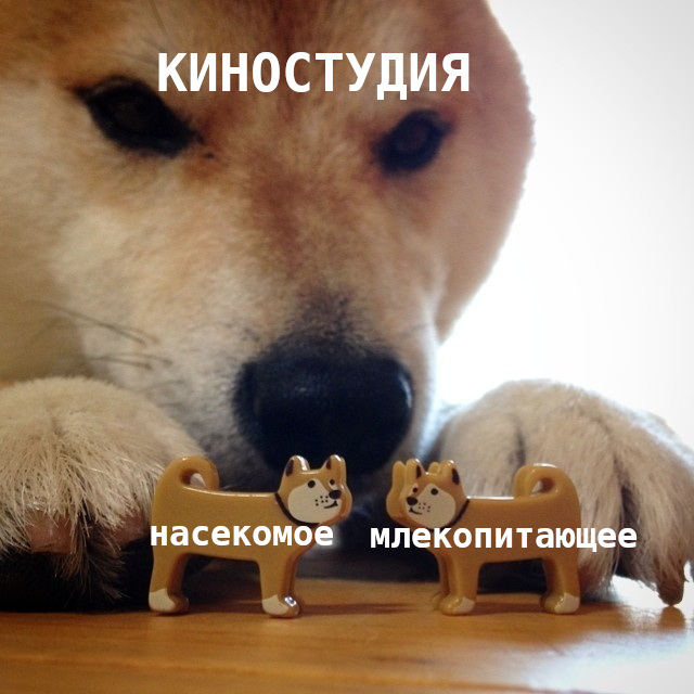Картинки и мемы для настроения - 29