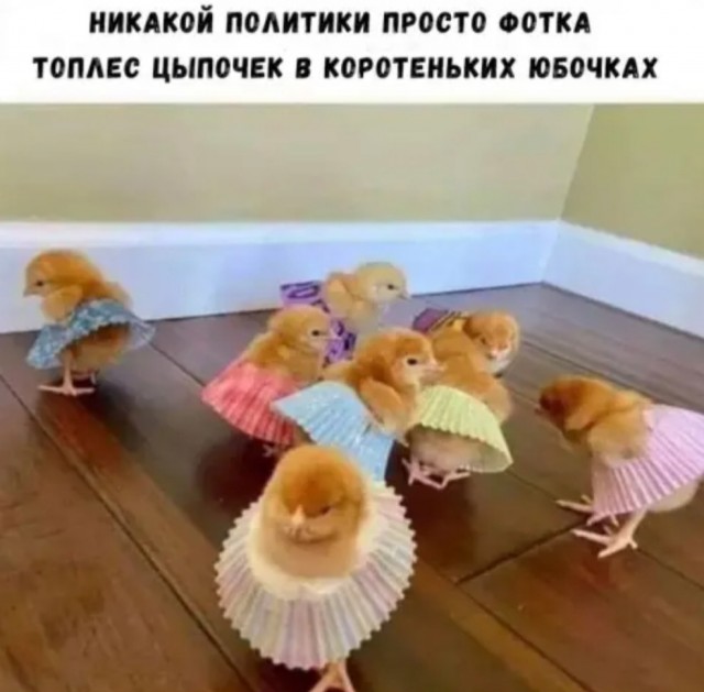 Так себе картинки 05.07.22