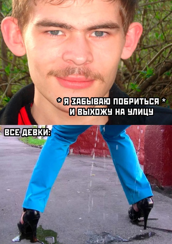 Весёлый полтишок 20.07.2022