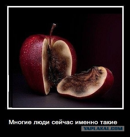 Картинки с надписями 04.12.22