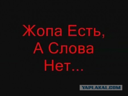 Навальному вынесли выговор в колонии за слово «п****ц» в отношении тюремной уборной