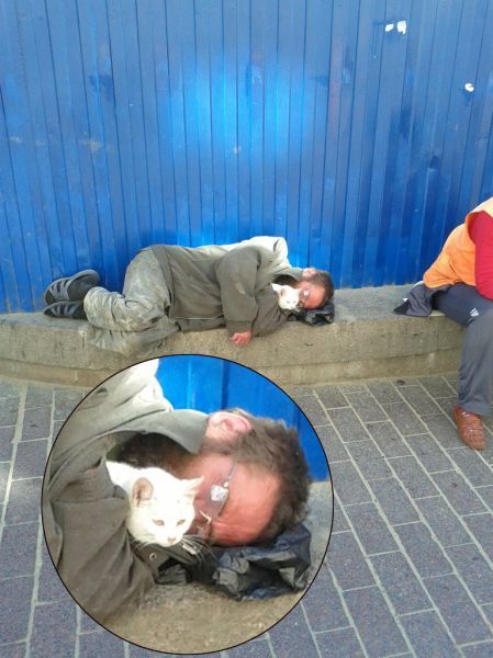 Стиль жизни