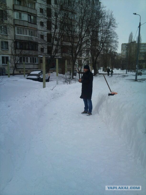 23 марта. Киев. Весна.