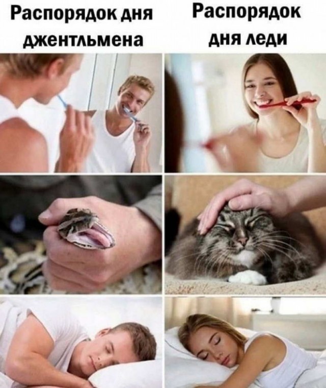 Пятница. И немного слегка пошлых картинок с надписями и без 16+ (17.09)