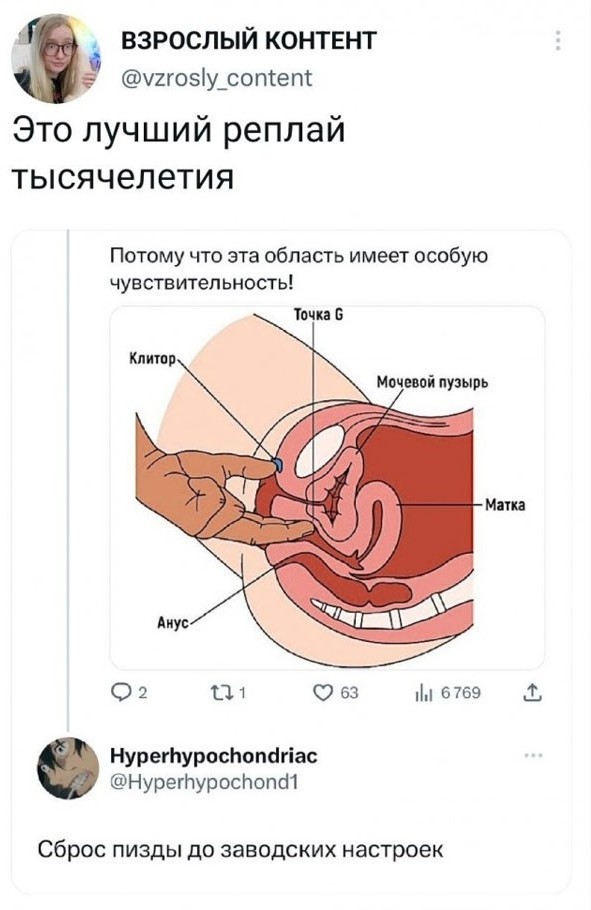 Свеженькие бояны