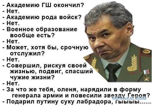 Шойгу доложил о девяти новых полках для военной операции