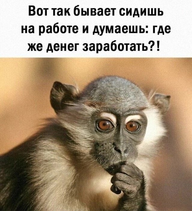Отряд быстрого деградирования