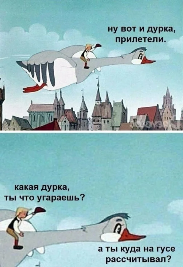 Юмор для тех, кто уже повзрослел и понял, что «личная жизнь» — это кот и плед