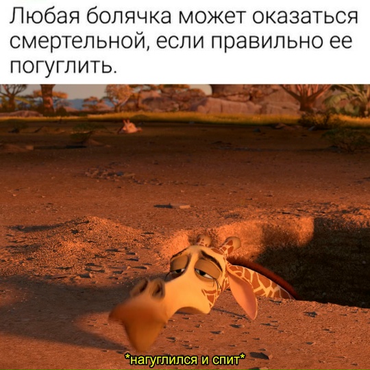 Весёлый полтишок 22.08.25