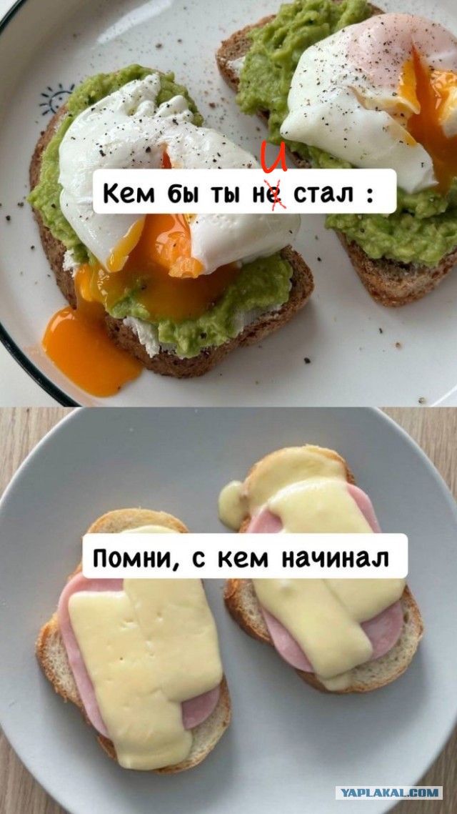 Разной свежести картинки