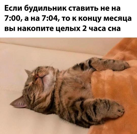 Подборка картинок-баянов с котиками и про котиков. Выпуск 29.