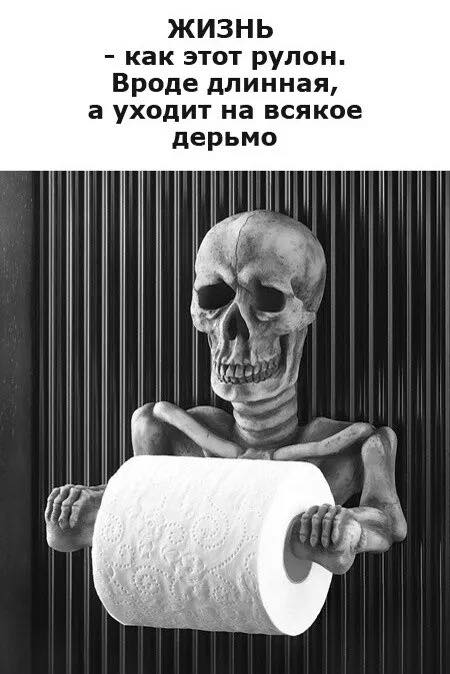 Картинки для деградации 142 (разной степени свежести)