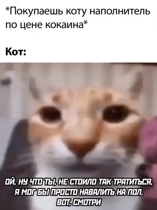 Картиночки, баянчики 09 марта