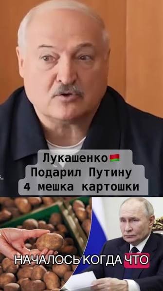 На Валдае началась встреча Путина и Лукашенко