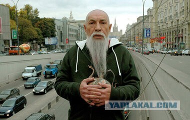 Школьница из Челябинска едва не сожгла квартиру, пытаясь приготовить наггетсы
