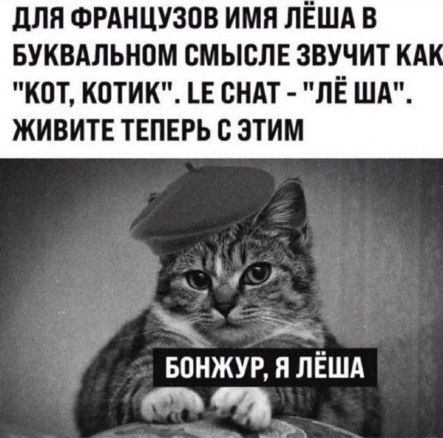 Деградинки