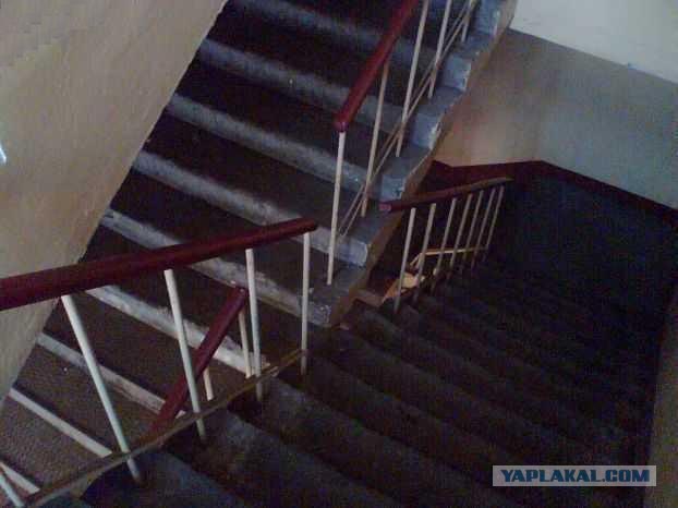 Лестница из снов