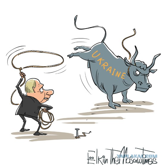 Реальное отражение ситуации на Украине от Ёлкина!
