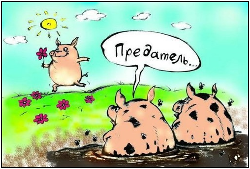 Один год жизни эминранта с России в США