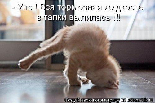 Капля позитива