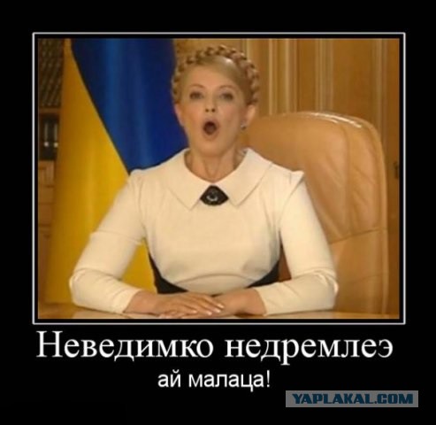 Батькивщина" требует разрешить использовать оружие