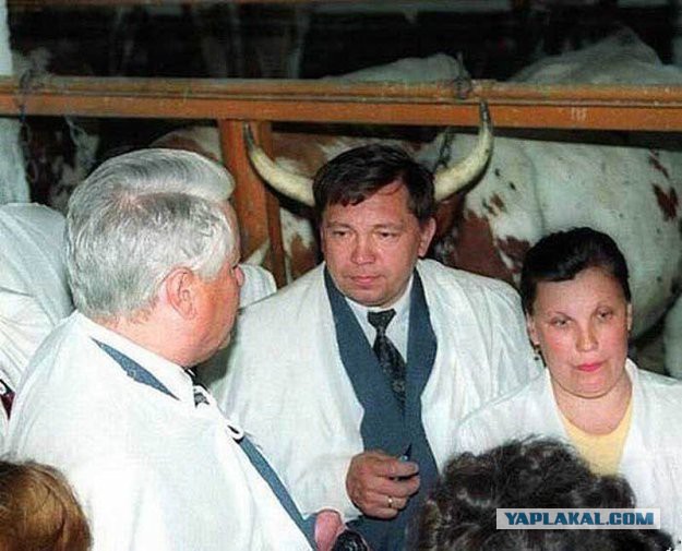 Картинки