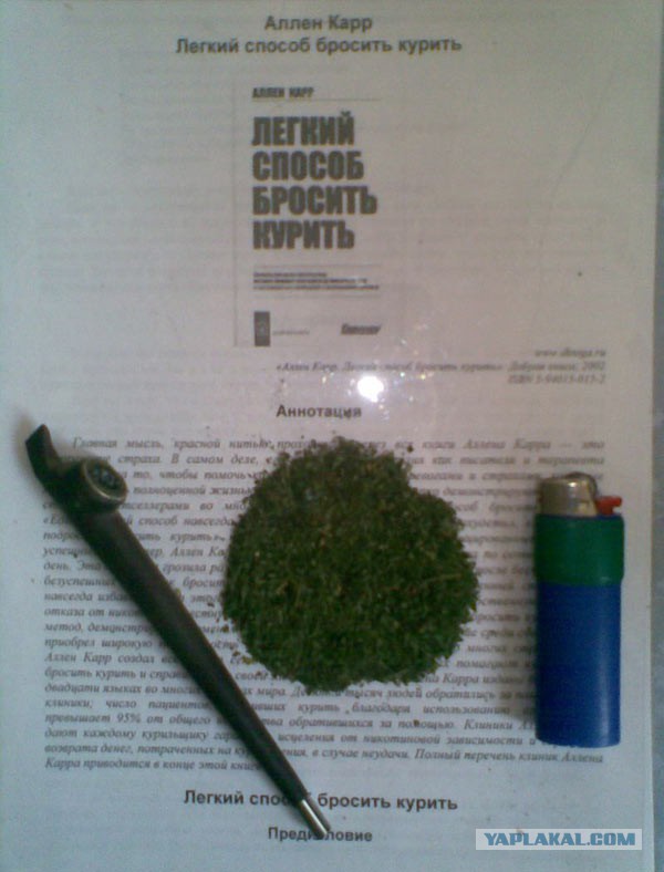 Немного позитива на пятницу
