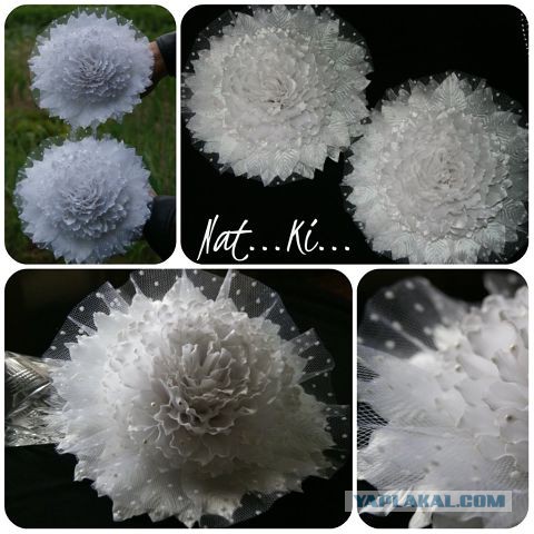 Красивое увлечение супруги