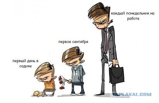Подборка весёлых картинок