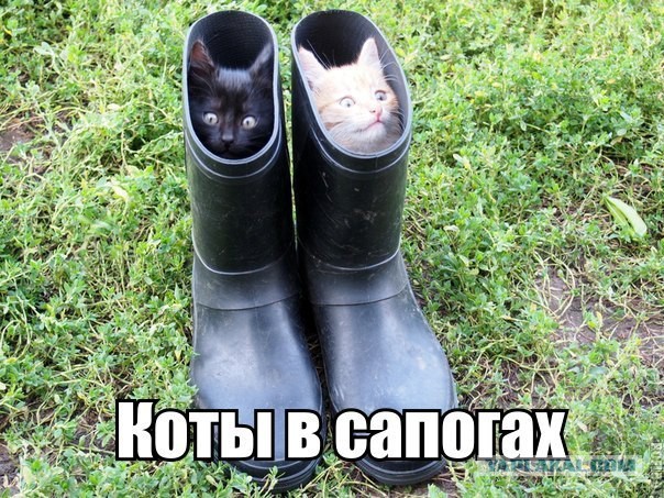 Немного позитива на пятницу