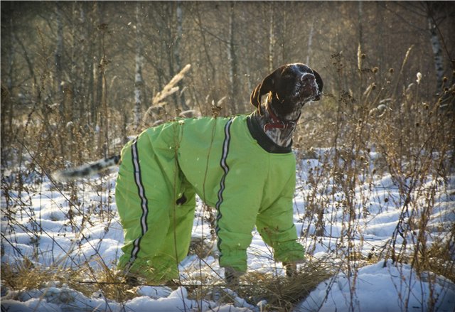 Всем зеленки!