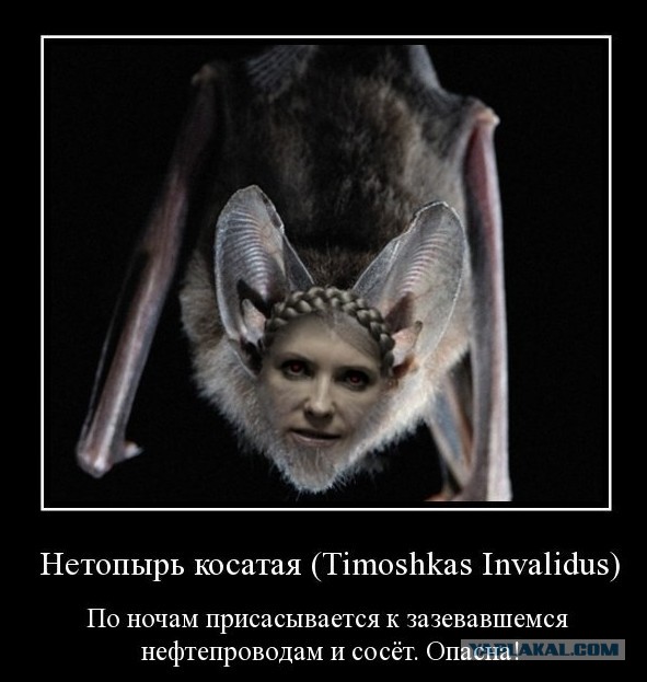 Фотошопная "фауна" Украинской Рады