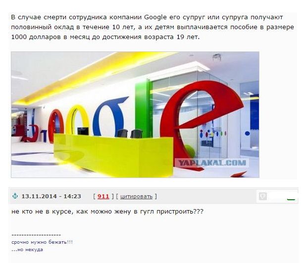 Не юкки ради, улыбки для...