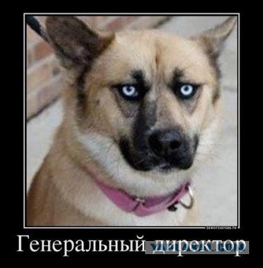 Картинки из сети для настроения