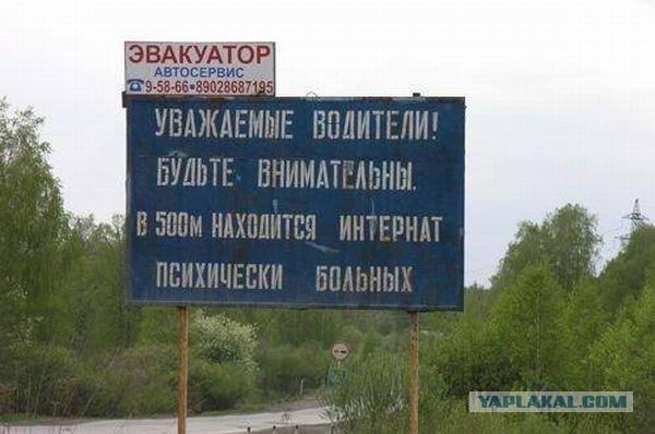 Весёлые картинки