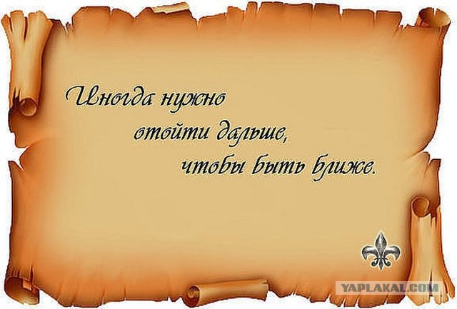 20 фактов обо всем