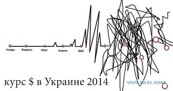Что с рынком труда в Украине?